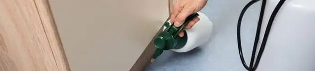 Bed bug exterminator treating baseboards and cracks with targeted spray in Jackson, MS