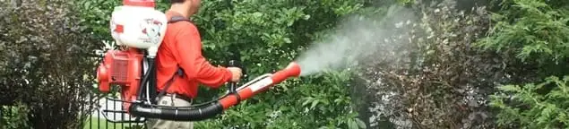 Mosquito control technician fogging shrubs and landscaping for mosquito treatment in Jackson, MS