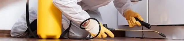 Roach exterminator treating cracks and crevices along kitchen baseboards in Jackson, MS