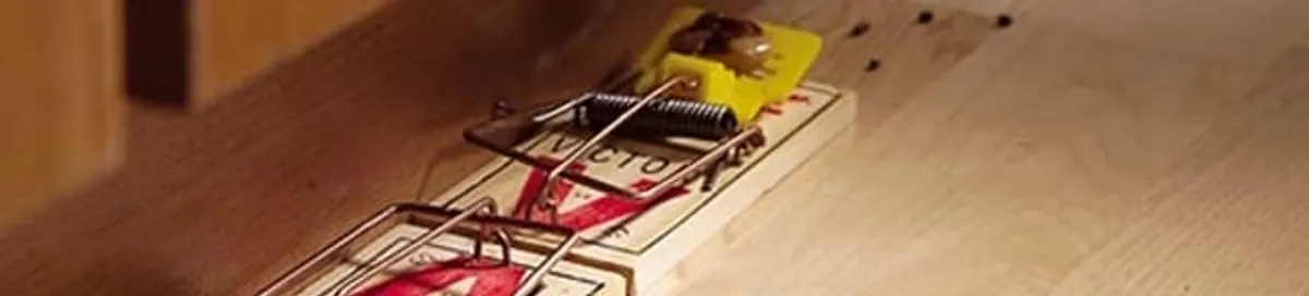 Rodent trap set indoors for rodent control and prevention in Jackson, MS