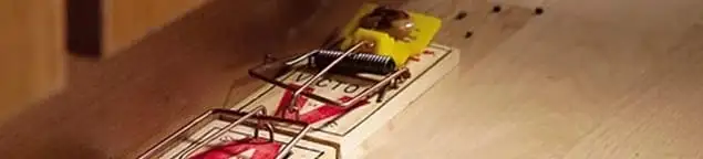 Rodent trap set indoors for rodent control and prevention in Jackson, MS